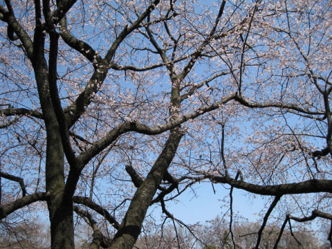 e0064461_14334547.jpg