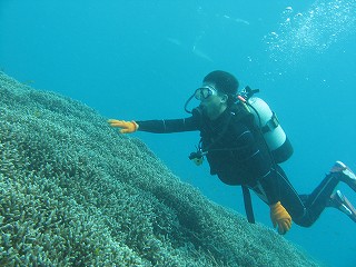 a0104162_910014.jpg