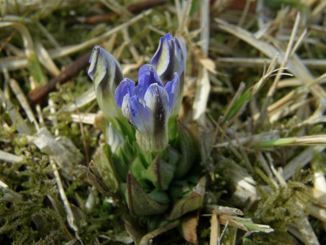c0042869_21102359.jpg