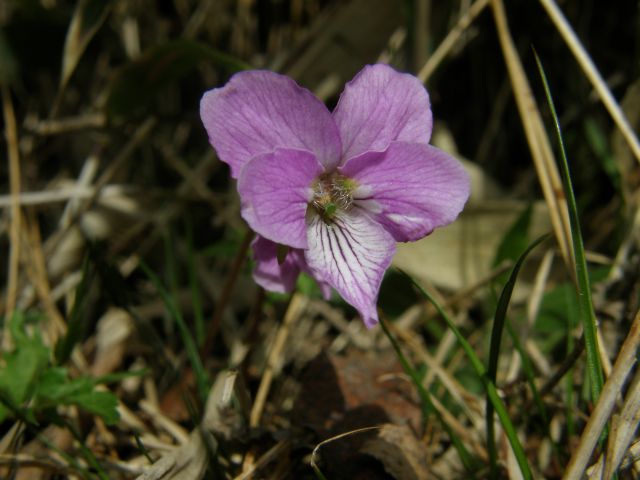 c0042869_21144382.jpg