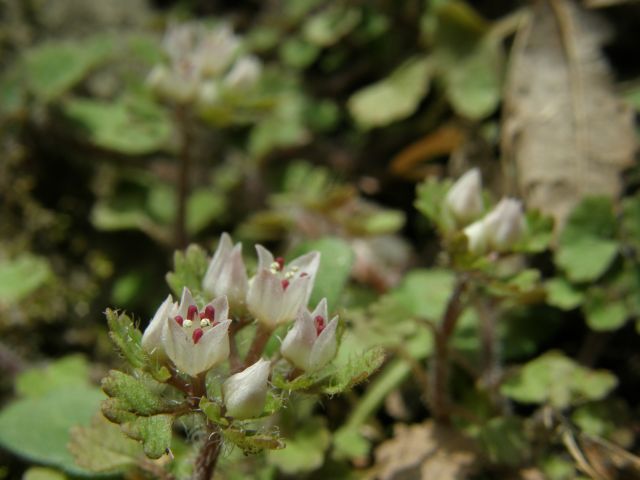 c0042869_21145929.jpg