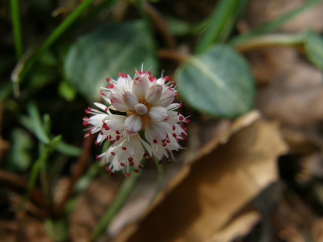 c0042869_21163435.jpg