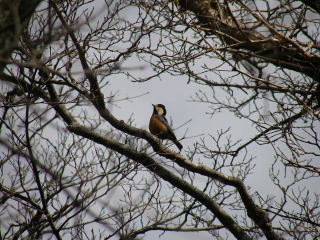 c0042869_21191431.jpg