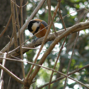 c0122670_22514130.jpg