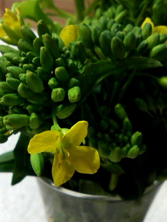 f0140174_2218569.jpg