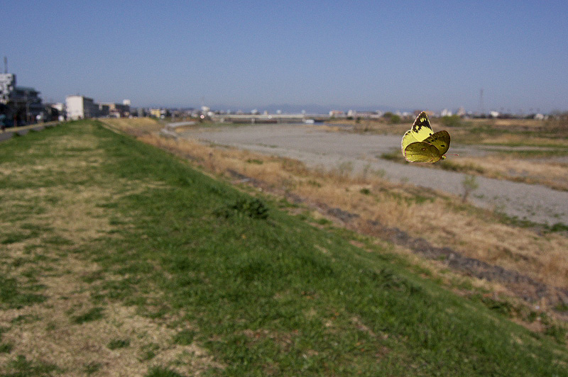 f0090680_21414532.jpg