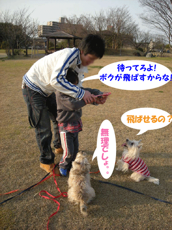 e0066883_19371631.gif