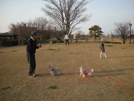 e0066883_1938077.gif