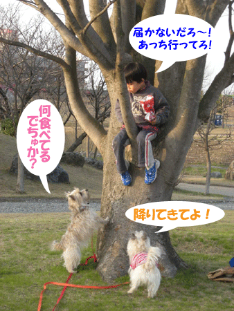 e0066883_19411947.gif