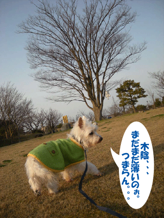 e0066883_19424711.gif