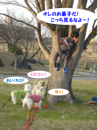 e0066883_19432396.gif
