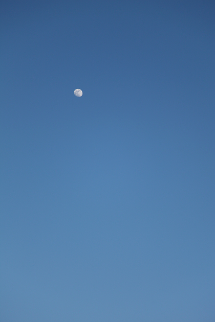 f0163583_163297.jpg