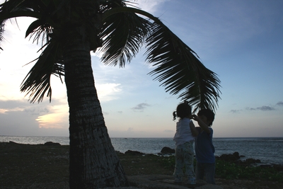 b0163486_23161872.jpg