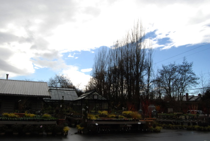 d0129786_14201512.jpg