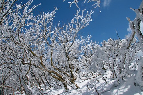 f0073587_1154561.jpg