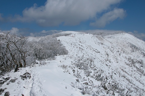 f0073587_1172059.jpg