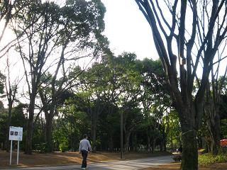c0002089_17175516.jpg