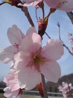 c0139090_0221484.jpg