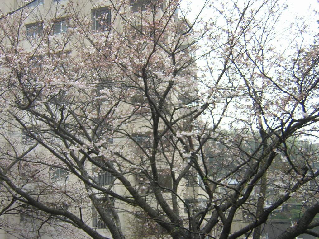 f0181793_17354420.jpg