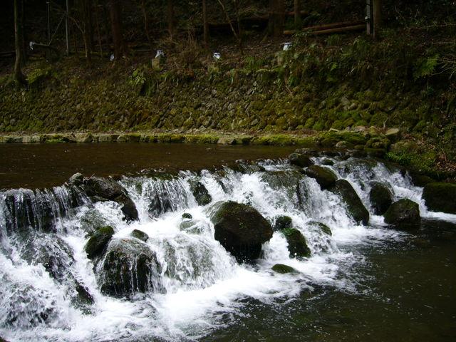 e0161194_2221092.jpg