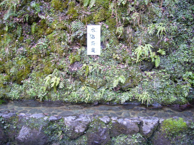 e0161194_22214628.jpg