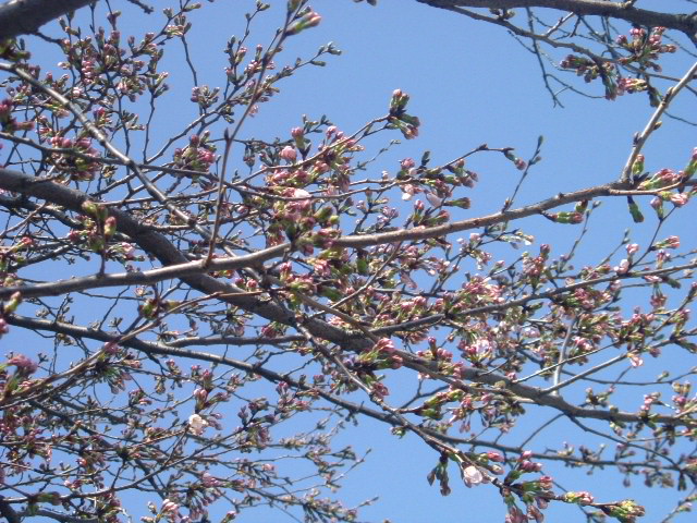 b0044296_11143119.jpg