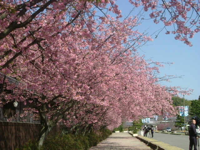 b0044296_11165195.jpg