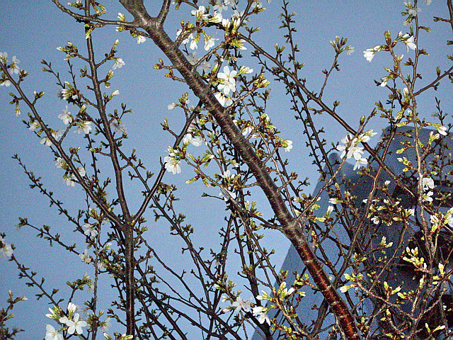 c0138198_1141652.jpg