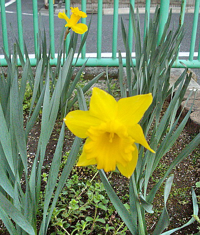 c0138198_11432650.jpg