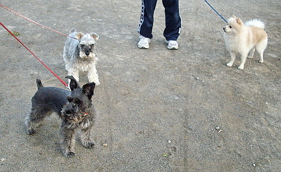 c0138198_126326.jpg