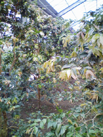 b0028299_20582632.jpg