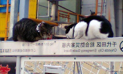 c0017999_16111833.jpg