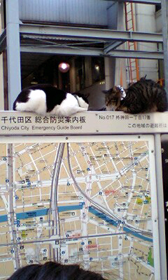 c0017999_18475053.jpg