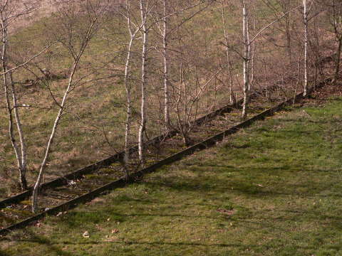 a0056401_511681.jpg