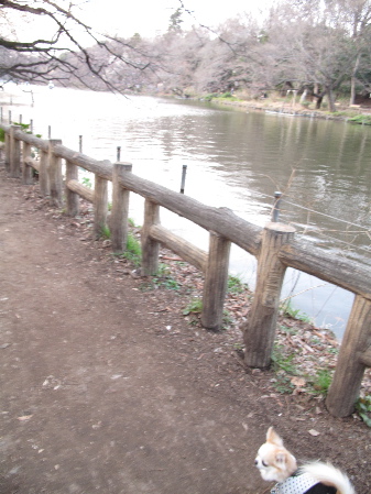 a0079803_026265.jpg