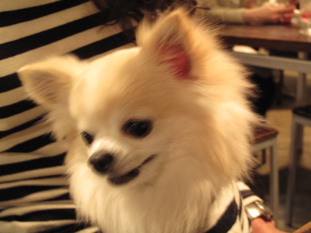 a0079803_0283521.jpg