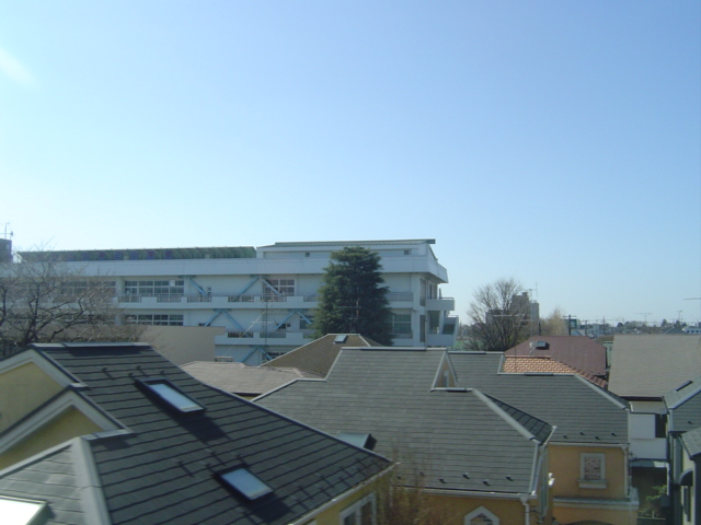 c0006904_227178.jpg