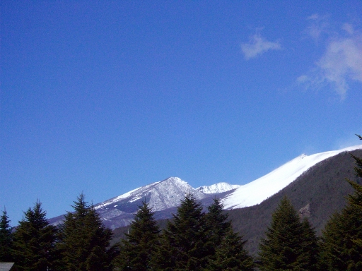c0110906_12411047.jpg