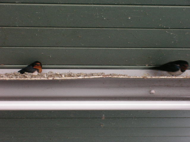 d0101409_23392225.jpg