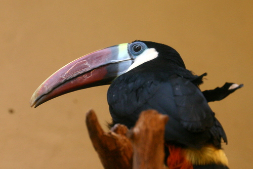 b0026110_20481544.jpg