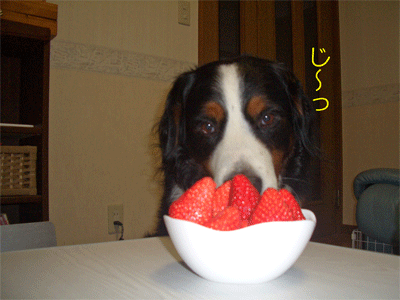 c0143711_19111930.gif