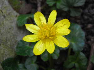 e0046112_5405073.jpg