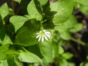 e0046112_5412080.jpg