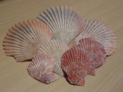 e0175017_1933101.jpg