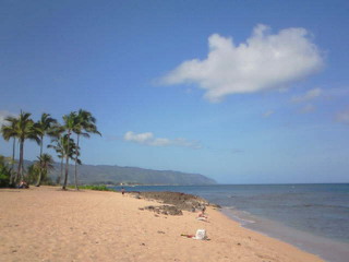 c0131818_54363.jpg