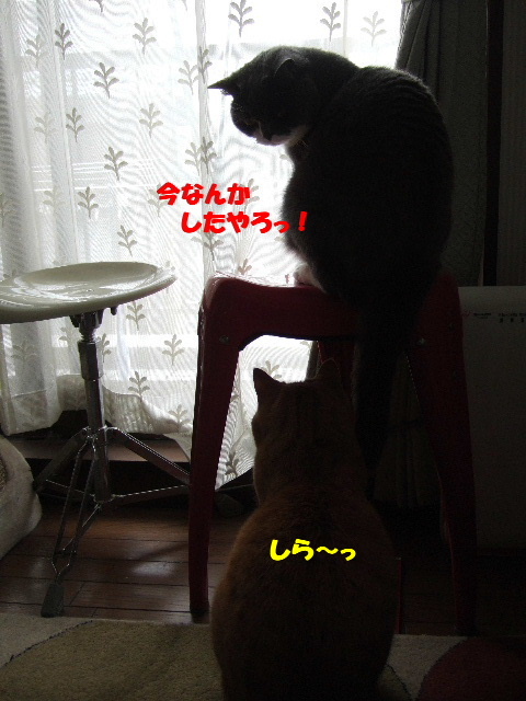 f0032020_2332835.jpg