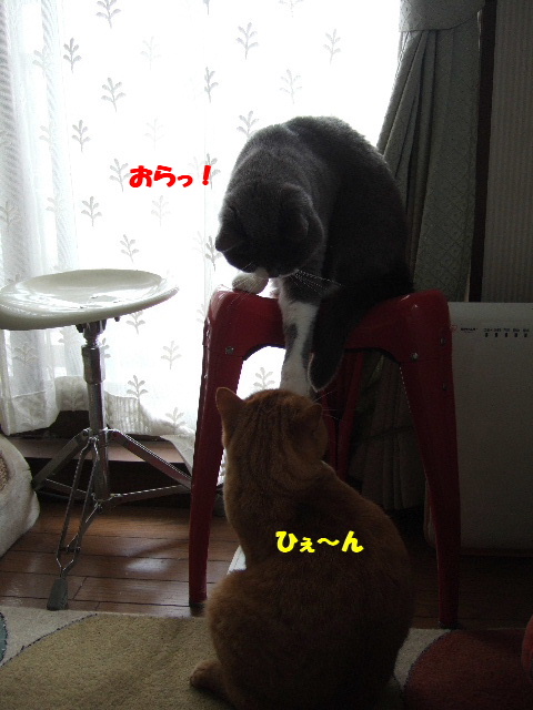 f0032020_2355524.jpg
