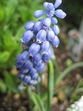 f0139520_16273413.jpg