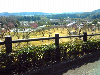 a0052621_146383.jpg