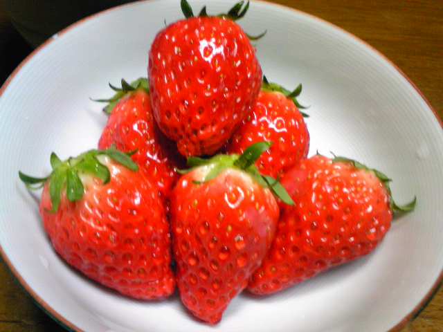 e0175123_11533.jpg